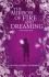 The Mirror and Dreaming